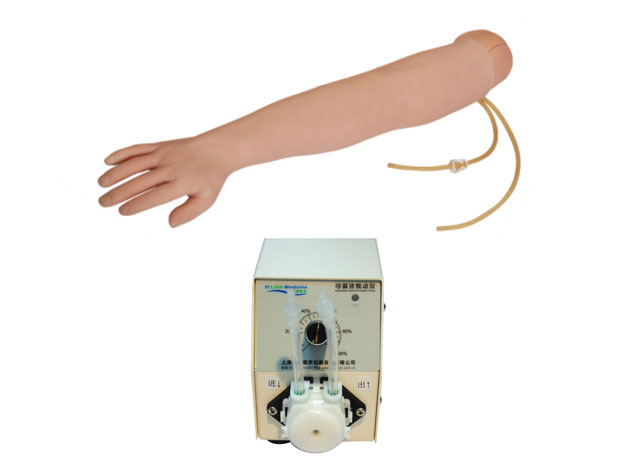 ȫo}ݔҺֱģͣѪҺѭhbã